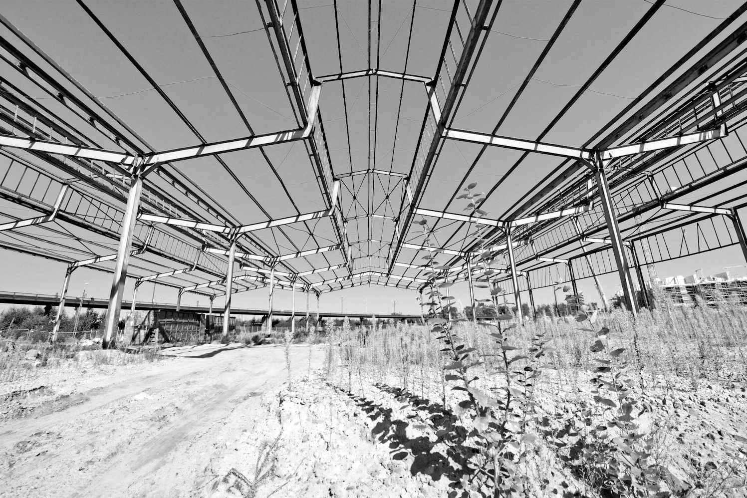 2378 Eisenkonstruktion - Dach einer ehemaligen Güterhalle. | Altonaer Bahnhof - ehem. Güterbahnhof Harkortstrasse